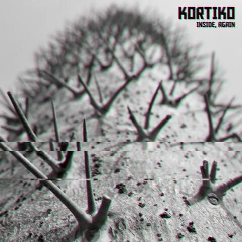 Inside, again album art