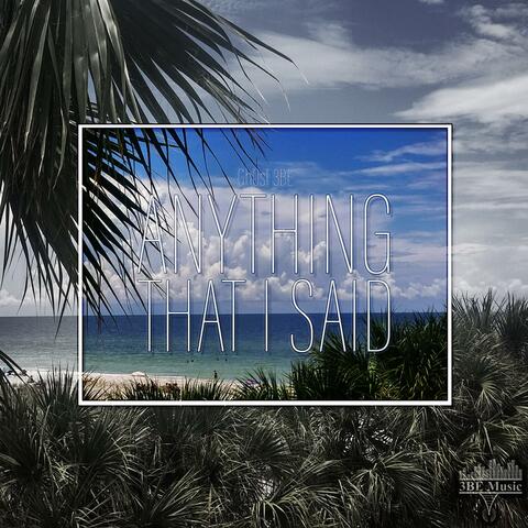 Anything That I Said album art