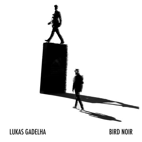 Bird Noir album art