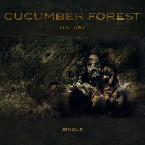 Lullaby (feat. Raccoon Three Eyes) album art