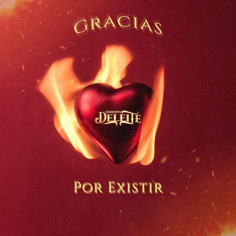 Gracias Por Existir album art