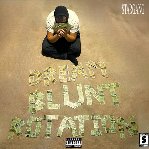 DREAMBLUNTROTATION album art