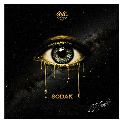 Project SODAK album art