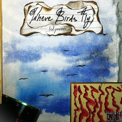 Where Birds Fly album art