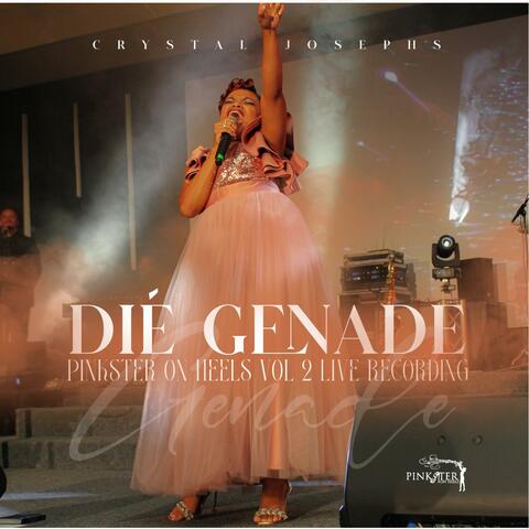 Pinkster On Heels Volume 2 "Dié Genade" album art