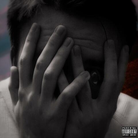 IN ALL I'VE FAILED TO DO album art