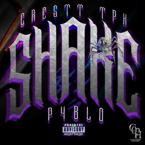 SHAKE SHAKE album art