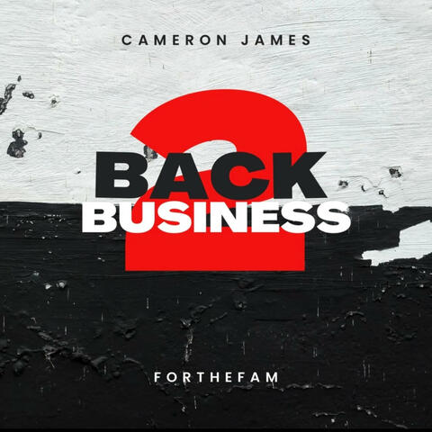 Back 2 Business album art
