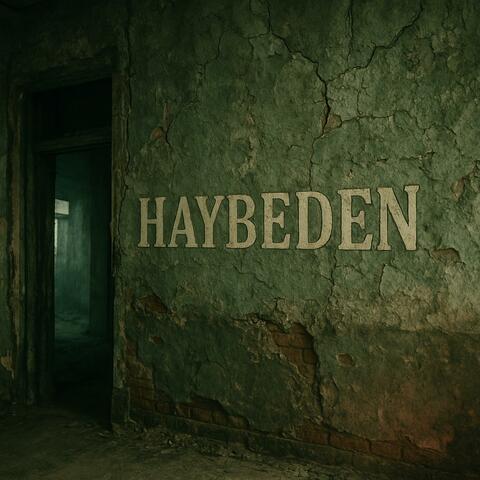 Dörde Buçuk Var album art