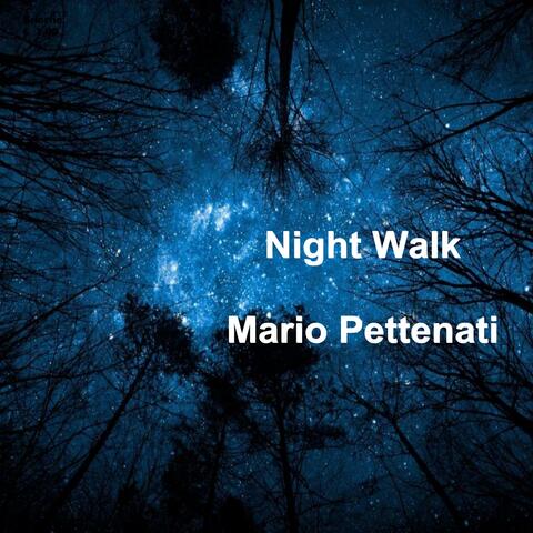 Night Walk album art