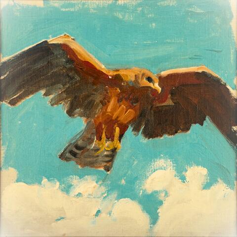 The Falcon (feat. Vinny Marchi) album art