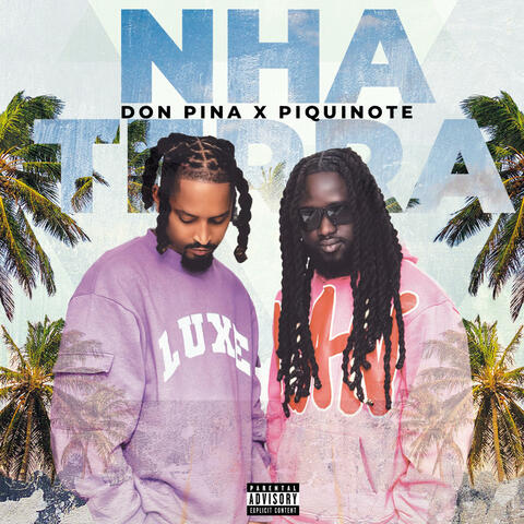 NHA TERRA (feat. Dj Piquinote) album art