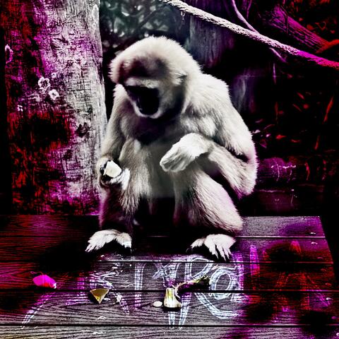 Off album art