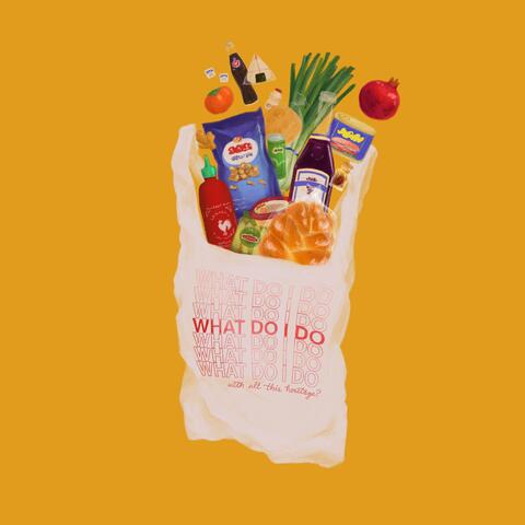 What Do I Do (With All This Heritage?) album art