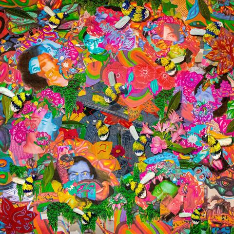 Did you tell the bees? album art