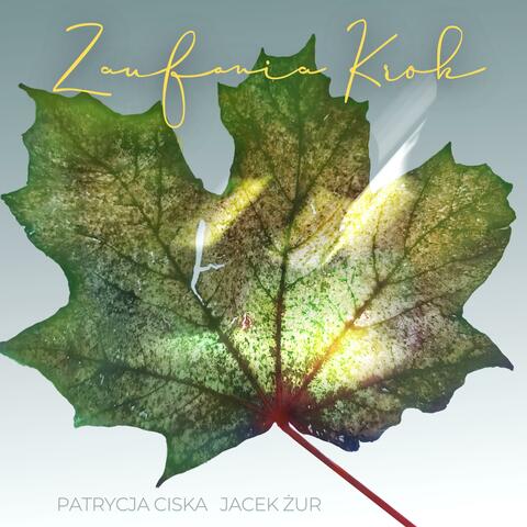 Zaufania Krok album art