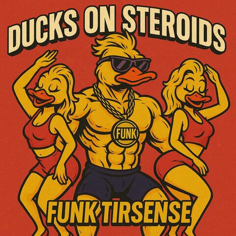 Funk Tirsense album art
