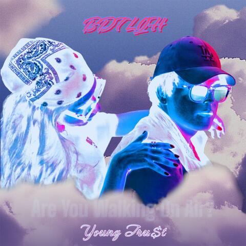 BDTLQH album art