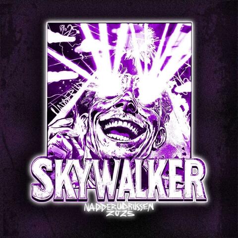 SKYWALKER album art