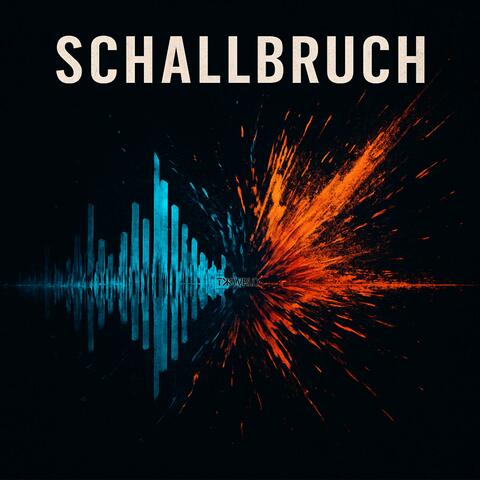 Schallbruch album art