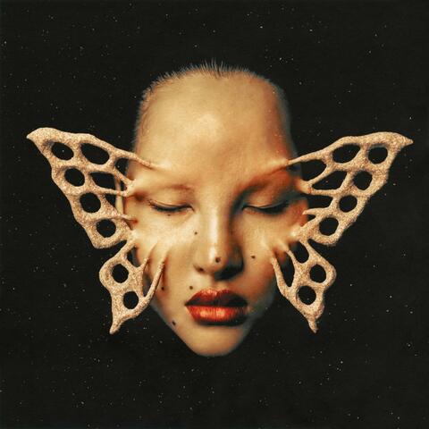 Cold Chords album art