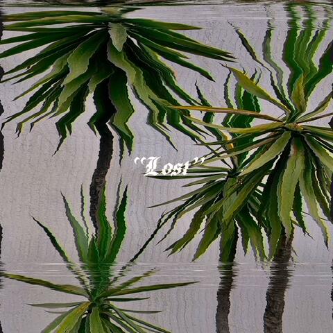 Lost (feat. ripian) album art