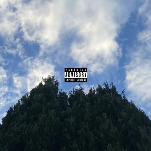 TOP FLOOR BIZNIZZ album art