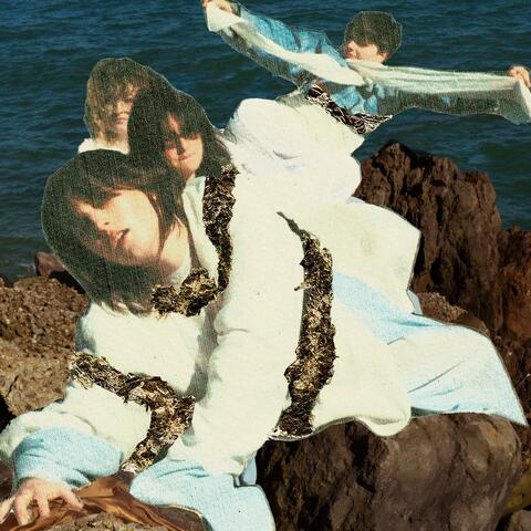 Baby Turtle album art