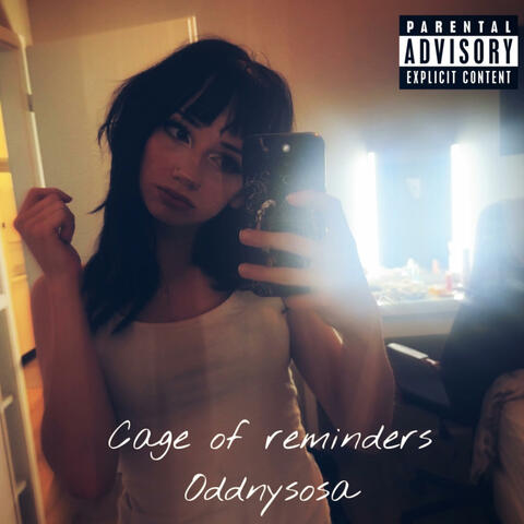 Cage of reminders album art