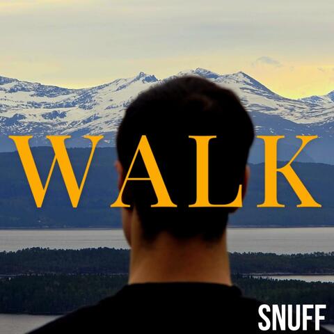 Walk album art