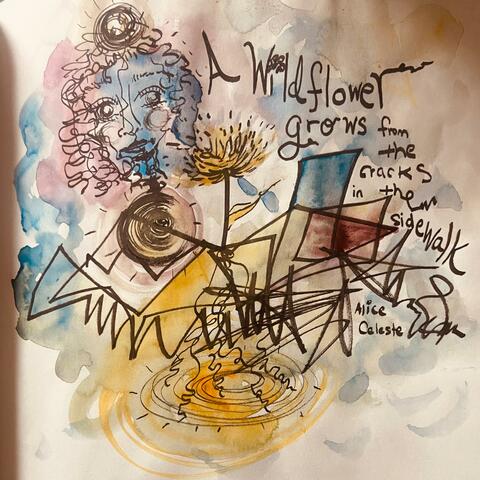 A wildflower grows from the cracks in the sidewalk album art