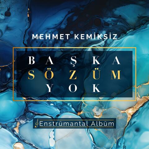 BAŞKA SÖZÜM YOK album art