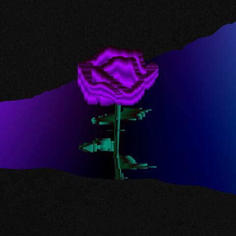 Digital Pourpre album art