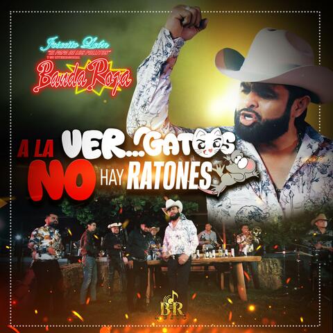 A La Ver...Gatos No Hay Ratones album art