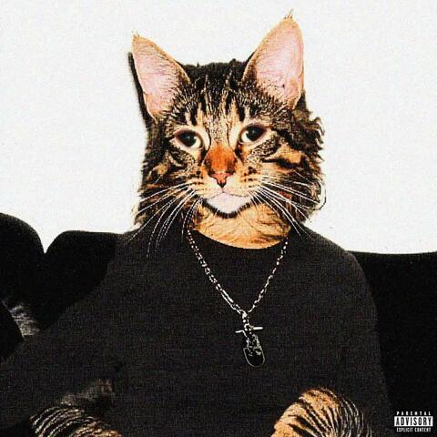 MEOW album art