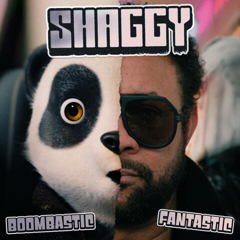 Boombastic (Fantastic) album art