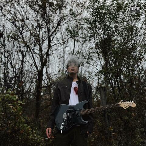 Zuhanás album art