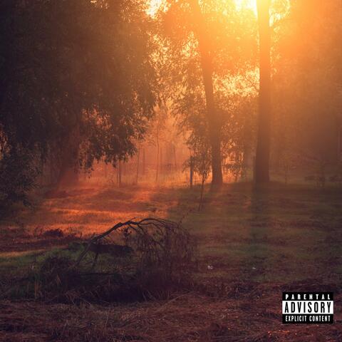 BURN1NG album art