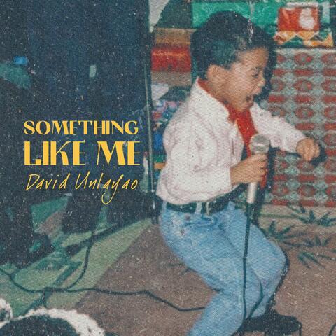 Something Like Me album art
