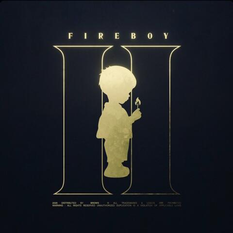 FIREBOY II album art