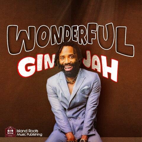 WONDERFUL album art