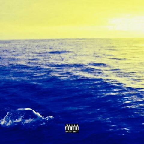 CALL IT SWIMMING! album art