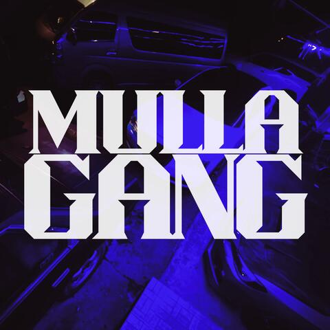 MULLA GANG album art
