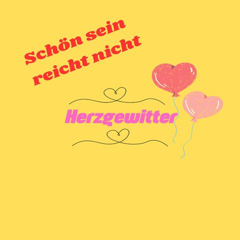 Schön sein reicht nicht album art