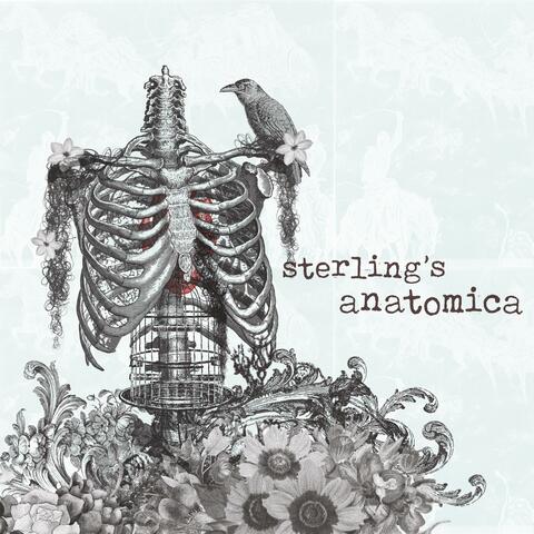 sterling's anatomica album art