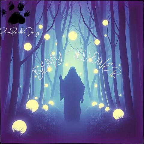 Be My Follower album art