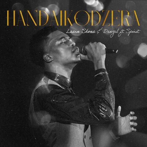 Handaikodzera (feat. Denzel) album art