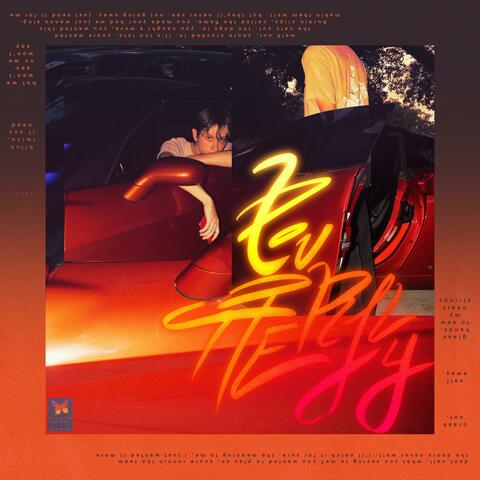 butterfly defect (remix) album art