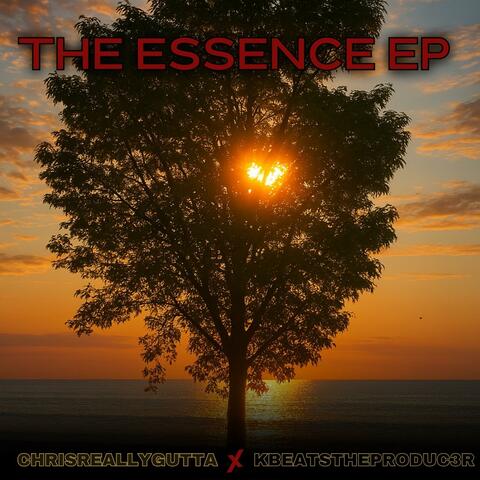 The Essence EP Instrumental Tape album art