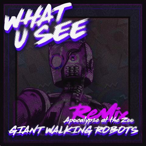What U See (Apocalypse at the Zoo Remix) album art